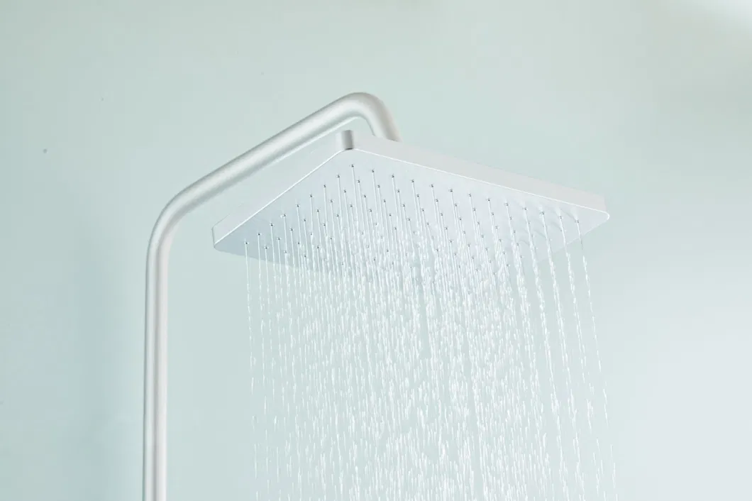 3086 Hot Selling Modern Popular High Quality Rain Shower Set